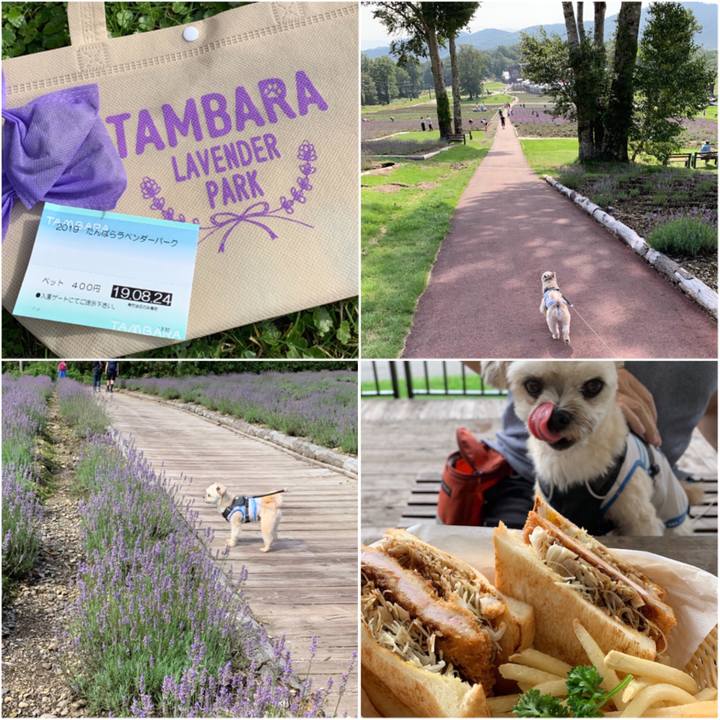 8fbb4e76 8317 4ce4 8006 aa628b21c447 1566813911857