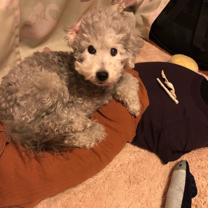 8fbb5b6e c784 48b4 b28b ca6603b4dee0 1557443740051