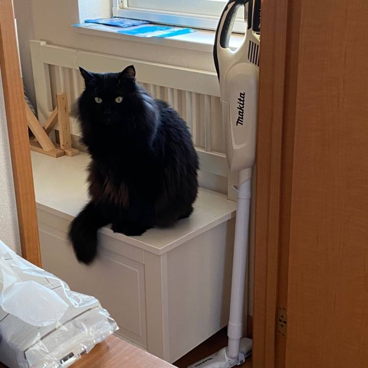 8fbb7b6d 9bf1 4454 aa58 8920a8c4da46 1579545632491