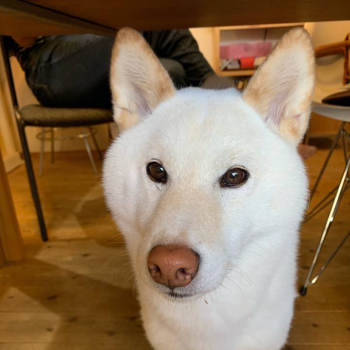 8fbbdf25 0ce1 4649 bae5 3a00d0de728b 1557401410543