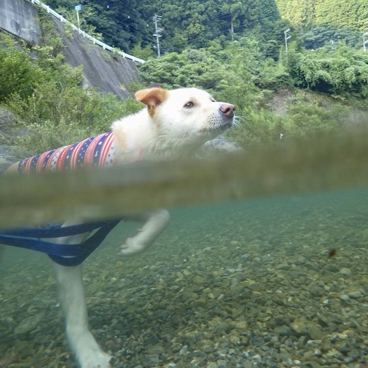 8fbbff89 8a1f 44b6 bb64 89e0ae0a2f49 1532041522789