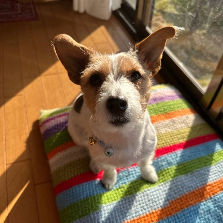 8fbc3034 f982 473d b5cf ff27d3f78a41 1769817604181