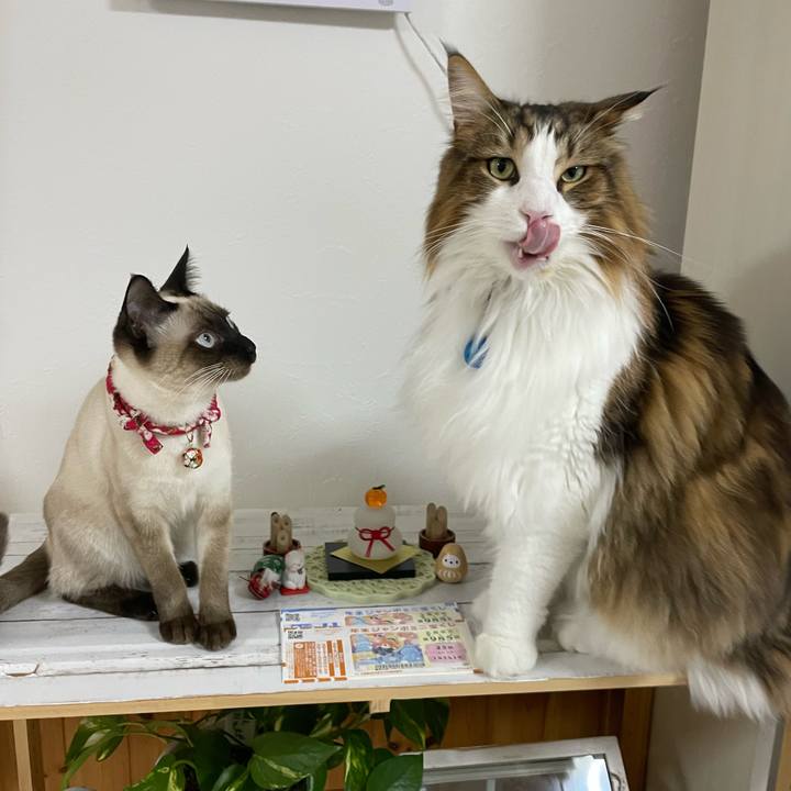 8fbc79f3 65a1 4f10 ba4f 8d0f9a570ea9 1704017208574