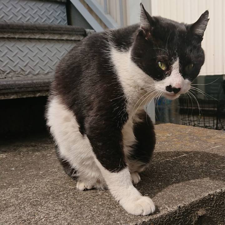 8fbc8d8c 6608 4415 99ae fe34abdac6ff 1550978101144