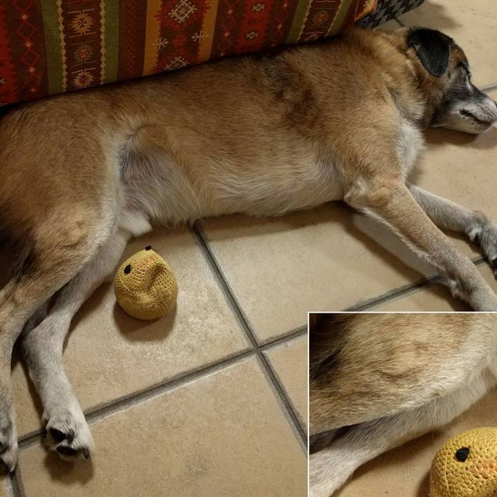 8fbc95e8 0407 47a6 917e 8b0af06e528e 1537367073897