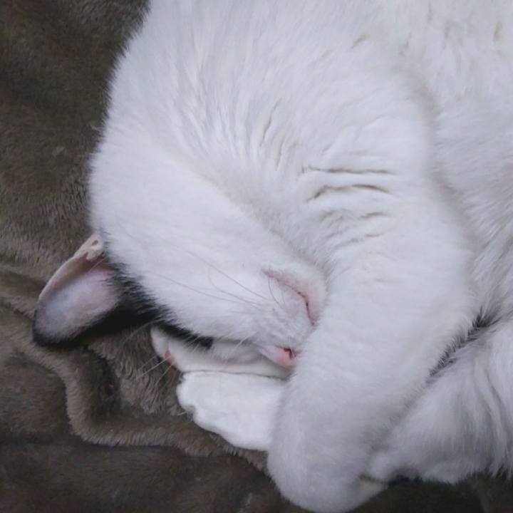 8fbcbddc eda8 4728 a32f 6117bfd42b75 1547549683806