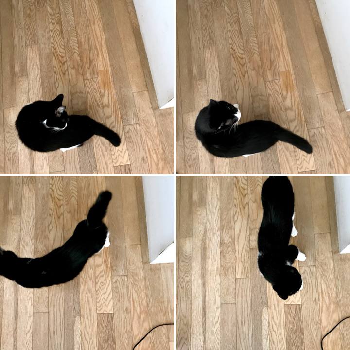 8fbd16b5 03bb 49da 9cd0 1dc49047382d 1536368193405