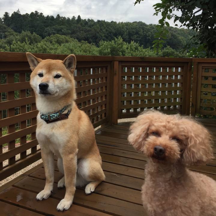 8fbd36d0 129e 435c a271 39f5439a2fa5 1508213509115