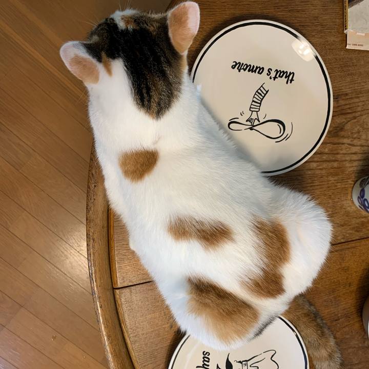 8fbd38e1 b6cd 4c04 a1b5 cbe2c27cd0a1 1630571302709