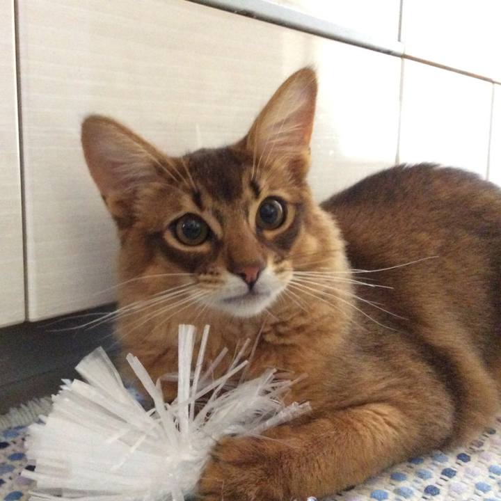 8fbd477c 34ae 4f49 a6bb ae661c9d7165 1582954727035