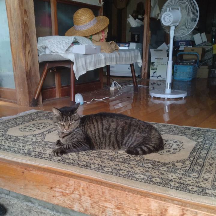 8fbd48ca c287 43ac 951b ead8508c78e3 1758079257282