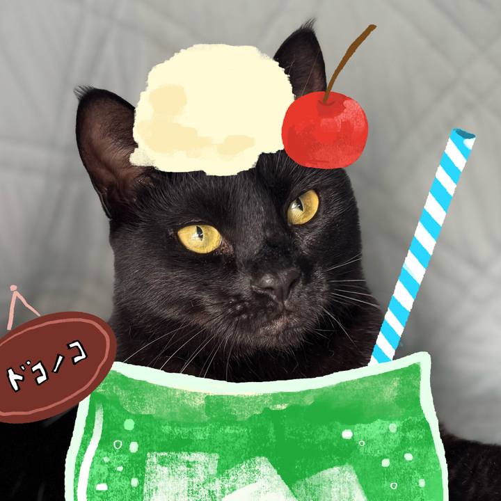 8fbd4fb7 cece 4b6a 9029 c920b6dff853 1755056003783