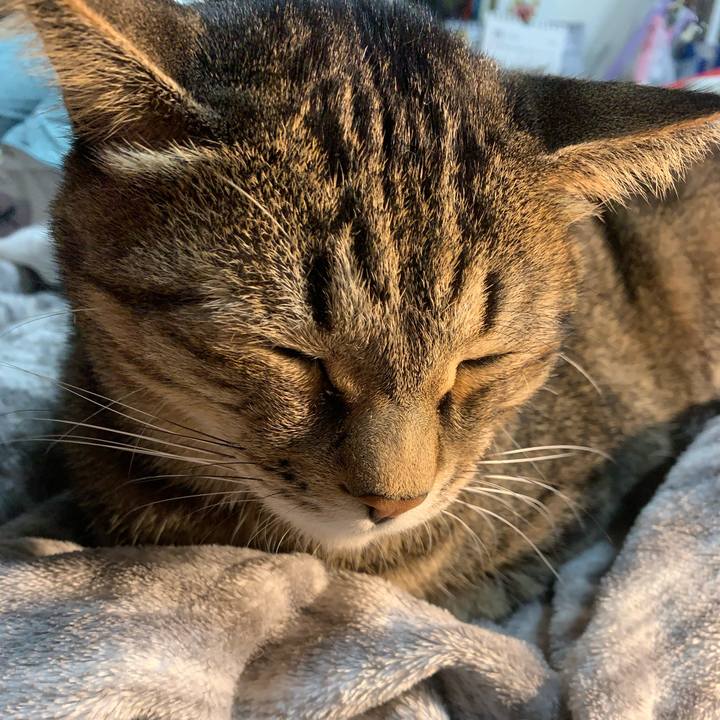 8fbd7eb0 74ca 4715 83d1 0dd3a8cf42a1 1761473827486