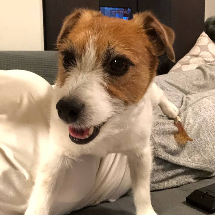 8fbdcb44 e646 4dcb a0e0 af007630ccc1 1589974627517