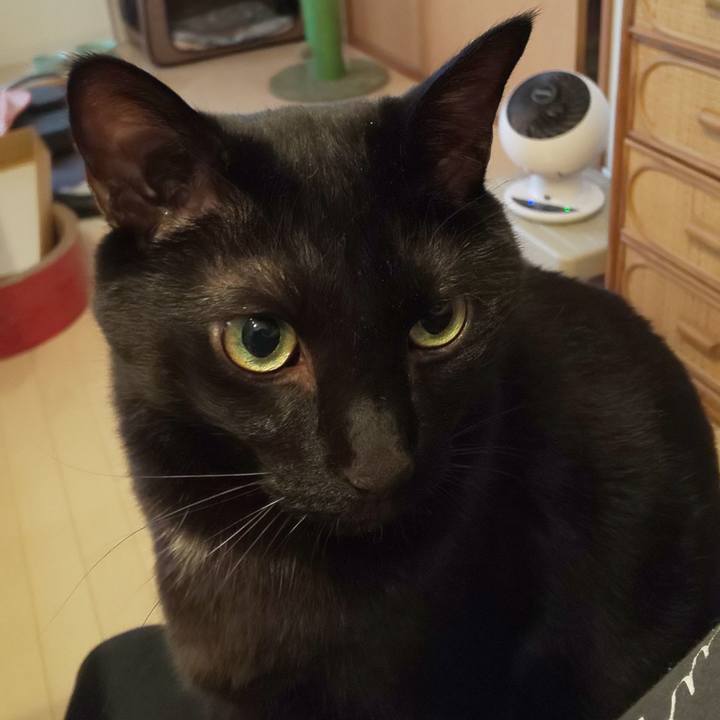 8fbde7ec a0ad 449c 9b3e a93741e708f8 1692318269118