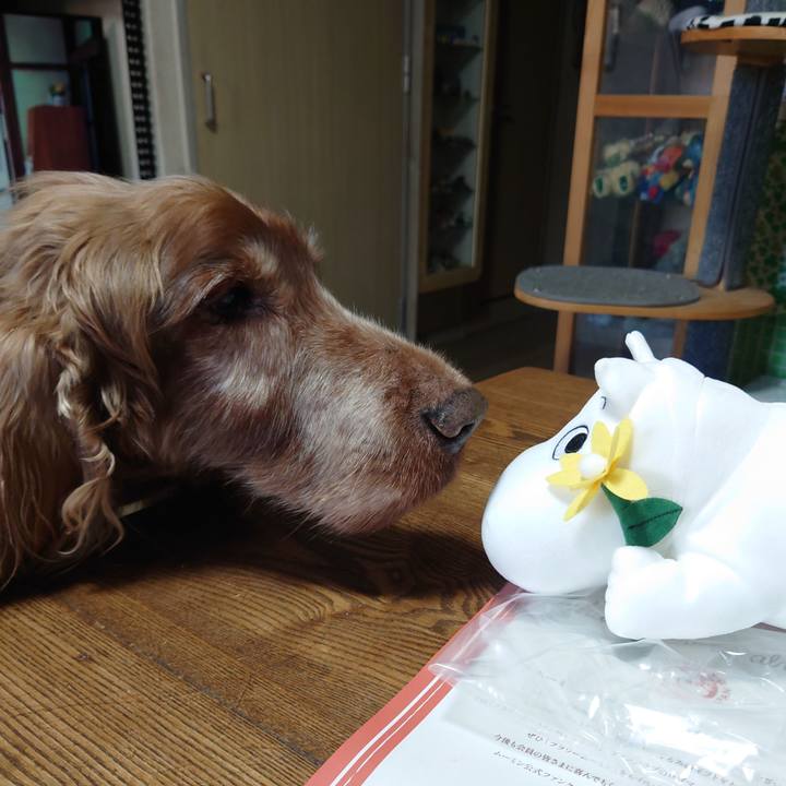 8fbdf925 6050 4c6e 8242 6e35f3077fc9 1705376147579