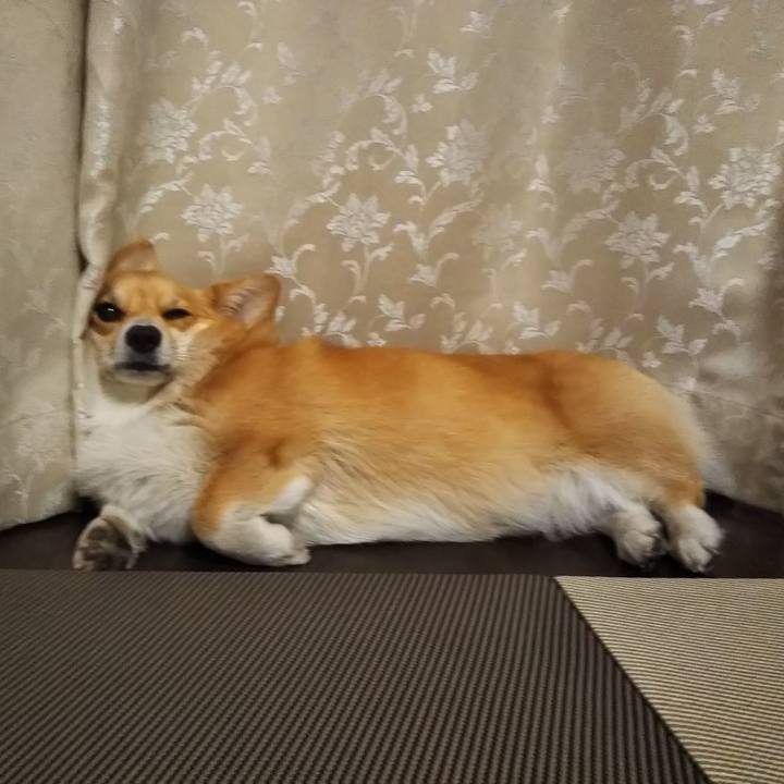 8fbe3d7c a468 462e 9979 1042baf85c48 1528109354709