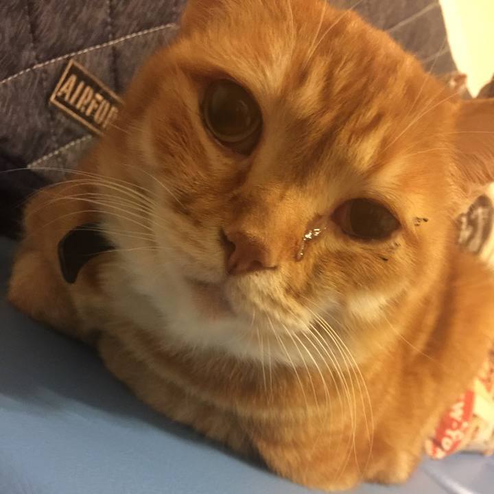 8fbe6027 2a36 405e b42f 17570f6573a8 1553873804107