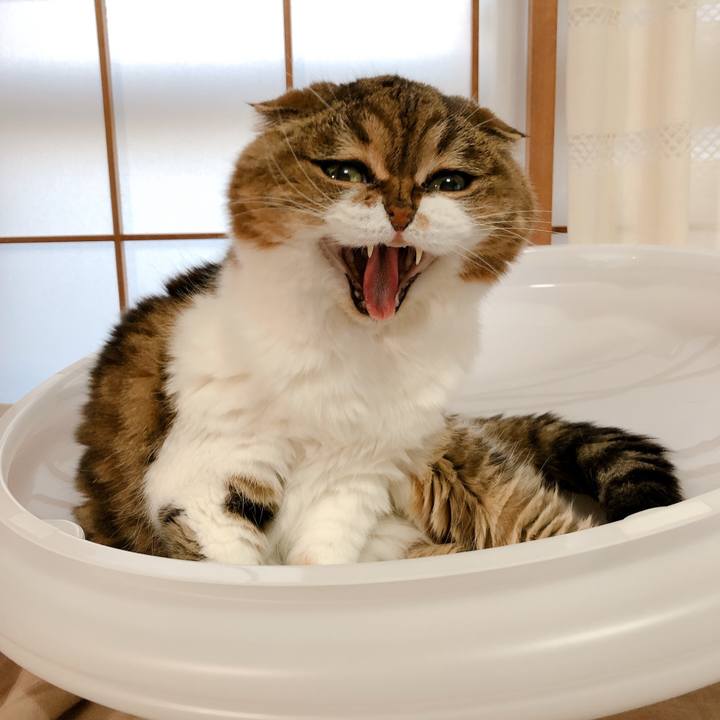 8fbe9cb1 c9cb 448a b5c4 b32f09781d45 1590571537526