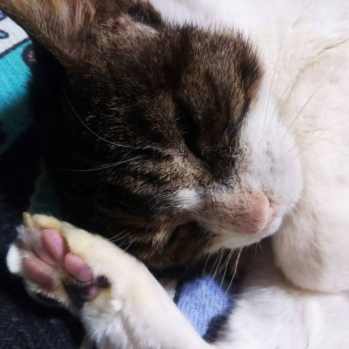 8fbef195 82a3 40f6 a8cd dde5509ba79a 1552478449701