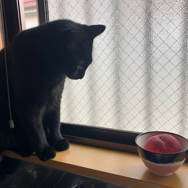 8fbf1184 5a9a 4b00 a2d0 8855127674b8 1566255600930