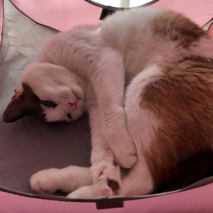 8fbf14a2 1043 4dd1 bf95 0fe38ea8e48e 1549248406472