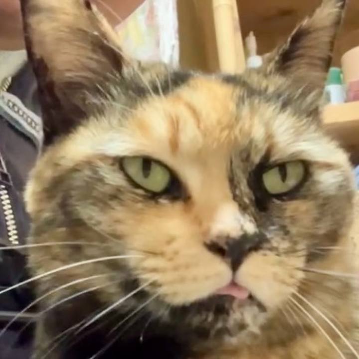 8fbf7837 9c5c 4056 9b20 e108c3b657d2 1737596964941