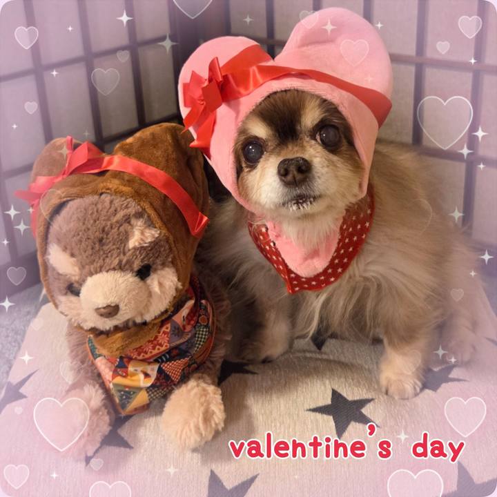 8fbfac2b 4a56 41cf 9fef 8873d726d50e 1771022030806