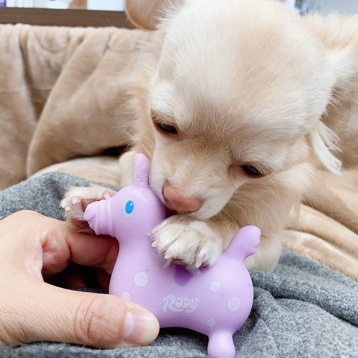 8fbfc473 0ec2 44c3 afb0 16c95c073cfb 1611053689053