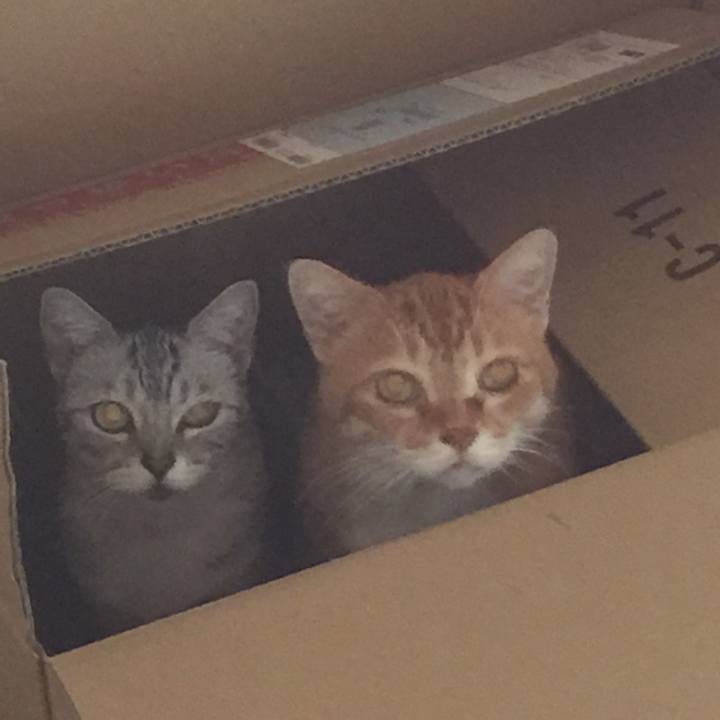 8fbfe0b1 300d 4a52 abf4 9dce7d1089c3 1572560588192