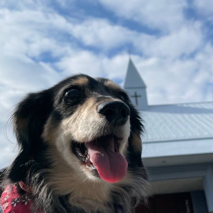 8fbfe1c7 ef3a 46c0 beb9 6307ccad170e 1667198025836