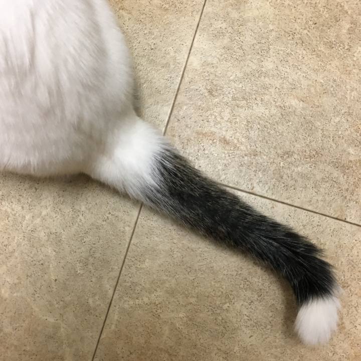 8fc01111 161c 4b2b 92eb 64391b012fd8 1547418312273