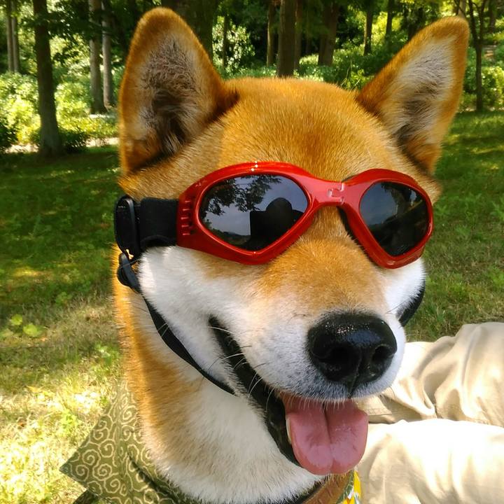 8fc06900 e6cc 485e 9b1a 56394fe2a36d 1527386378478