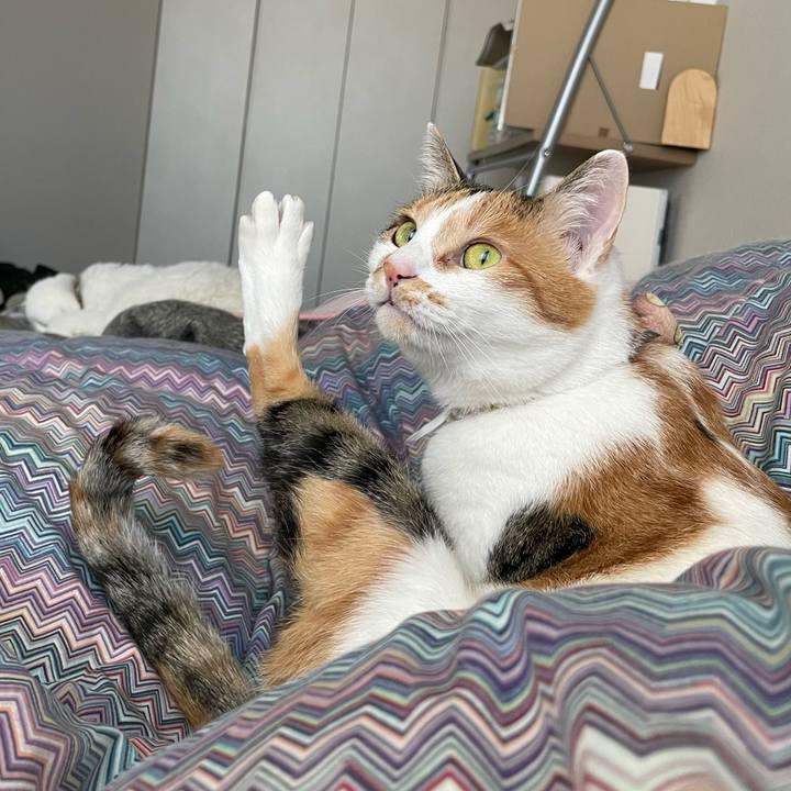 8fc07a9c ec16 4413 a73d af9bb9ccb956 1640746688692