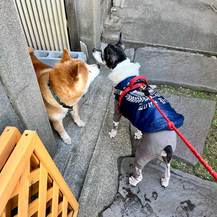 8fc0802d c539 4cfa a66d 9bb90bffd5f9 1647733722420