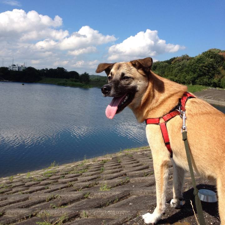 8fc085b3 0841 49da 84f7 671704afeb09 1542184350077