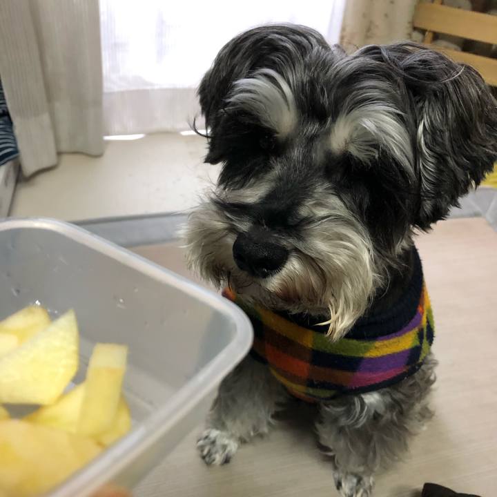 8fc09874 89af 419e a914 f534446e667b 1638685155540