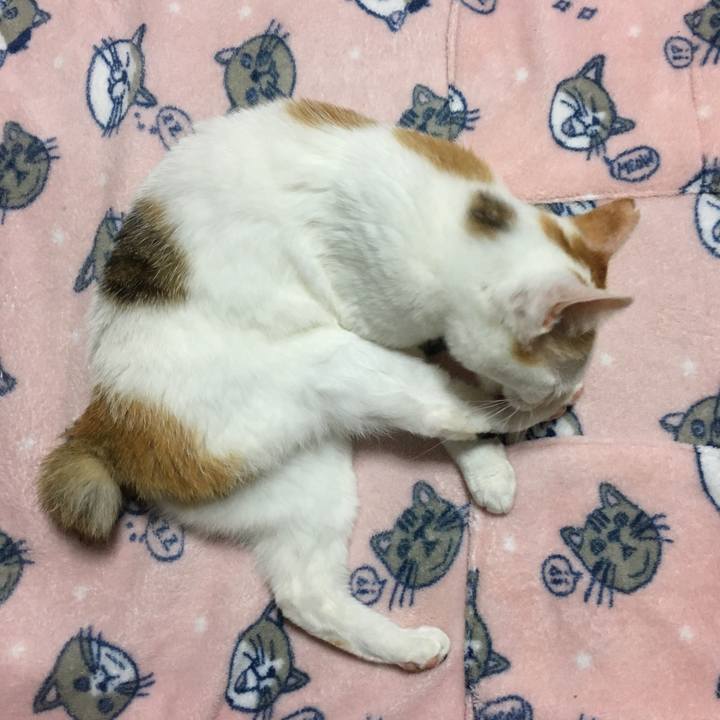 8fc0e314 1c60 40f3 b32b 5c64515ad6f2 1525865306549