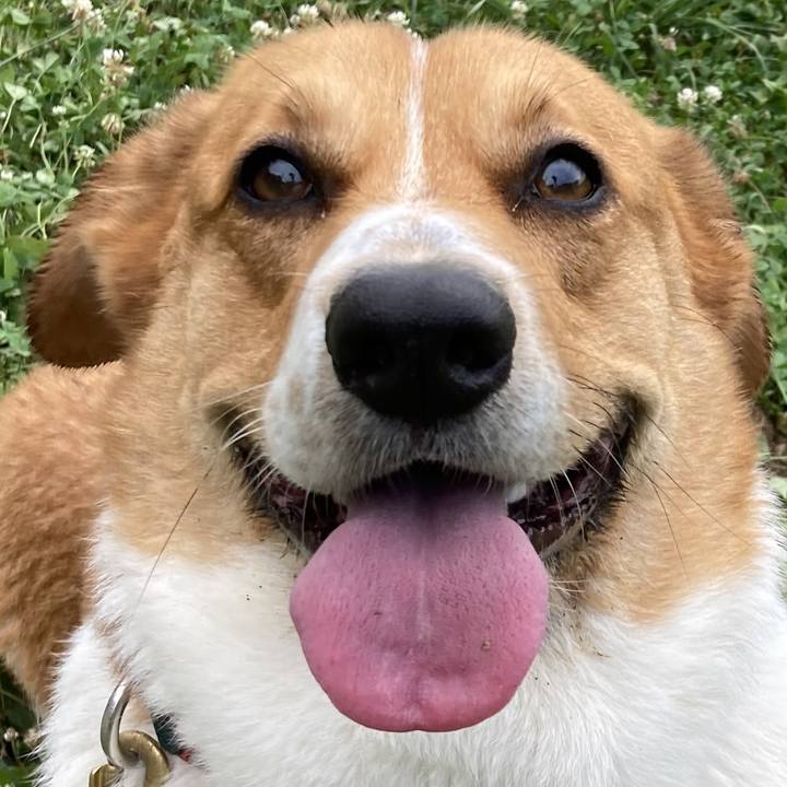 8fc0f0f0 d8a5 425a 93f7 d4555b6a71cc 1689389985440