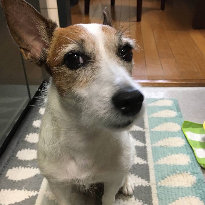 8fc0f5de a2a8 4780 8796 1ec4248022cc 1598398743248