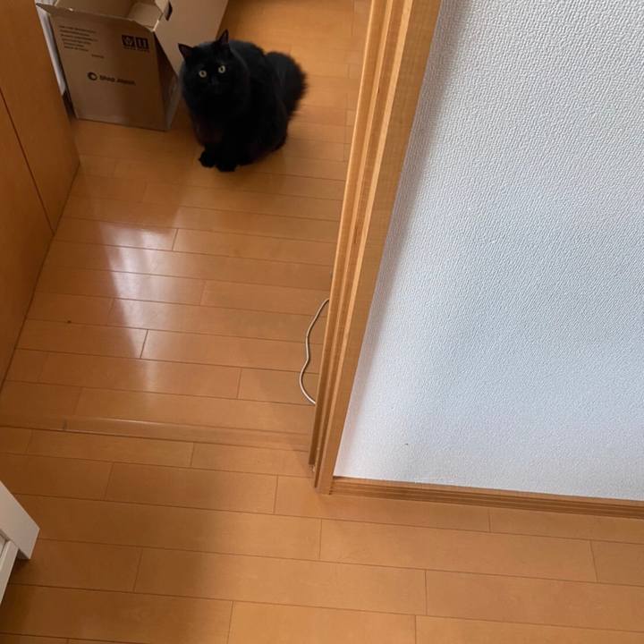 8fc0f73c a31f 4a15 aab0 ade627c3ff82 1599836163429