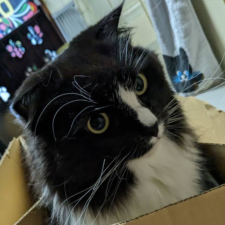 8fc11328 cc45 495d a313 ba13663b83b0 1709506081263