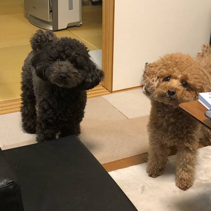 8fc126fb c5a5 4f5b 9bf2 b72d92d40f0e 1582546038962