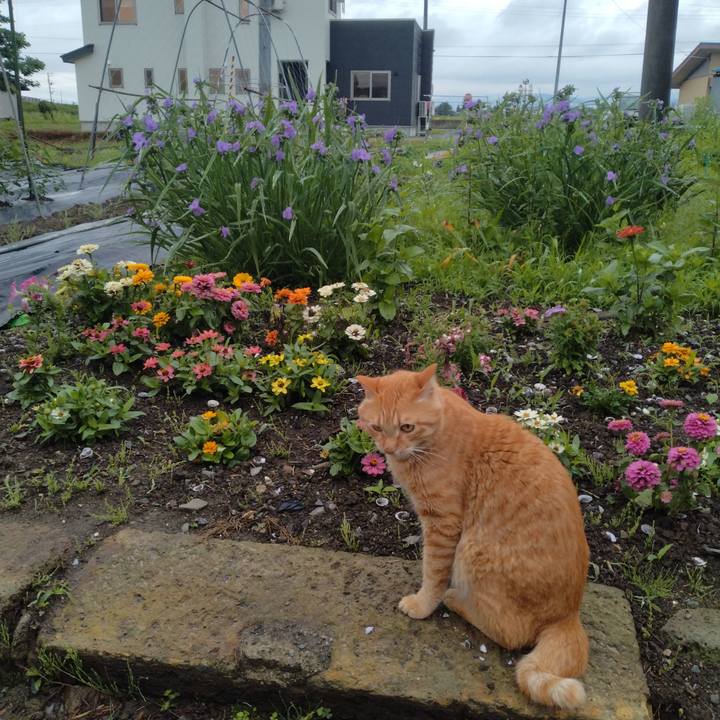 8fc12868 cc00 4eda ae5f 72d2ef979df9 1686782845937