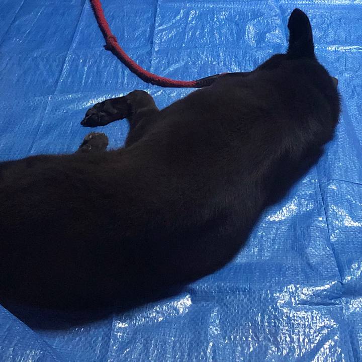 8fc18f62 1e8b 498a b715 6e1752fb9373 1570880450879