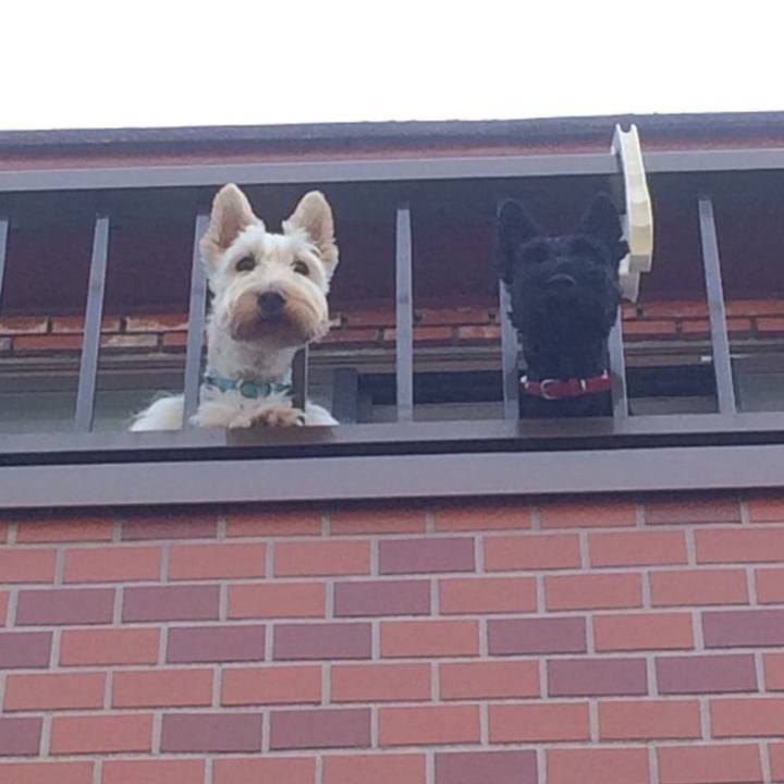 8fc1ced8 6a09 447a 848c 5bf144919acc 1533306358062