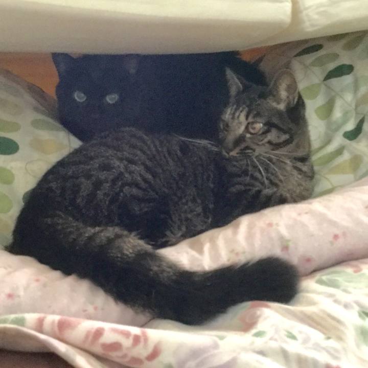 8fc1deeb df78 45d3 8dc8 3834470cf6b3 1573083378436