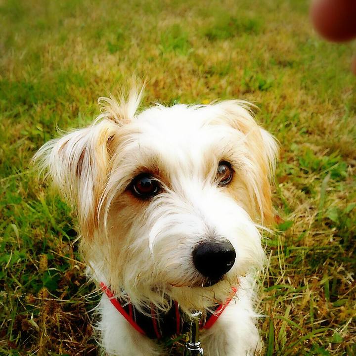 8fc21504 3ffc 4ec9 8129 742c6cfd2fa0 1511681907704