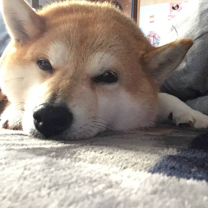 8fc21fa9 5753 42e3 bb21 31590726f71b 1583371928426