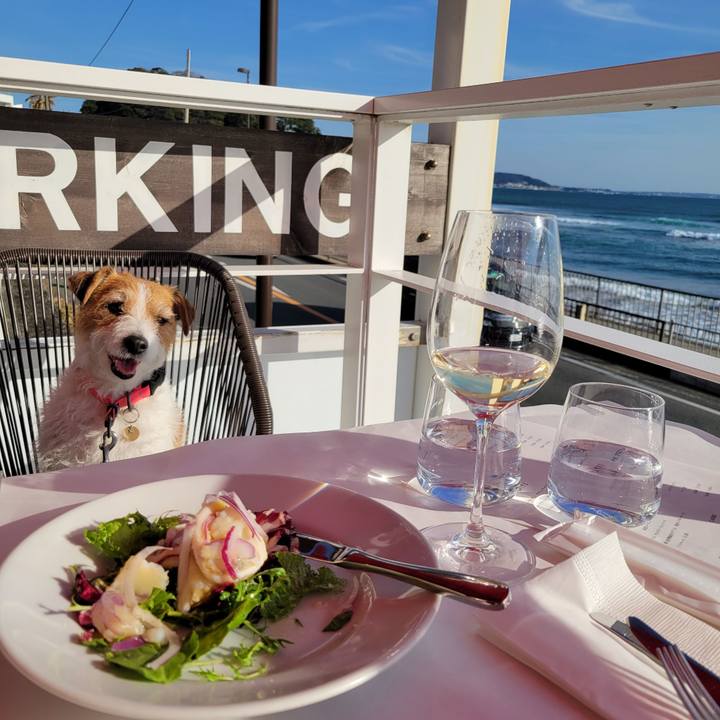 8fc2274d 170d 4225 96c7 4a13bbef9a04 1676205239957